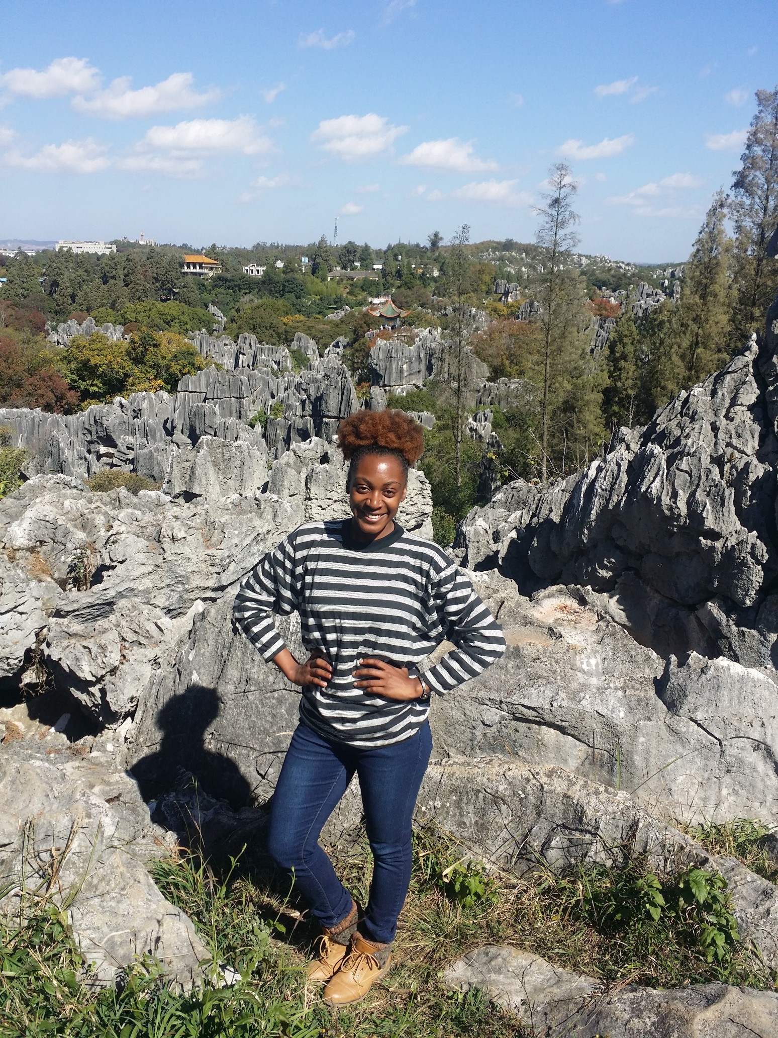 Stone Forest